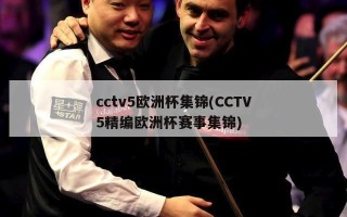 cctv5欧洲杯集锦(CCTV5精编欧洲杯赛事集锦)